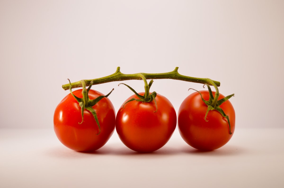 Ernährungswissenschaft